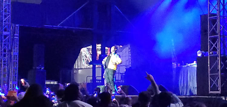 A performer on stage with a microphone, surrounded by blue lighting and a crowd in the foreground.
